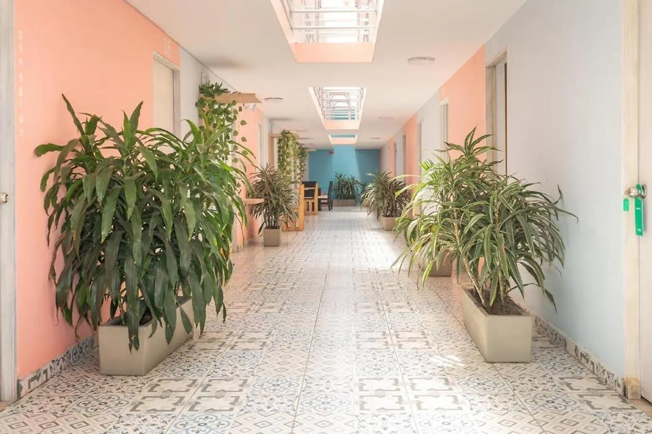Hotel Ayenda Malaki Medellín Colombia